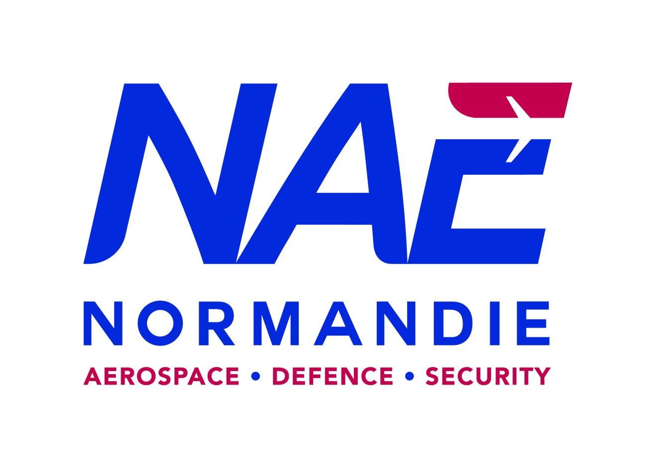NAE_logo