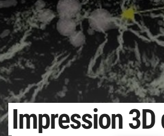 Impression 3D de l’un des aciers inoxydables les plus résistants